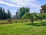 10093 Wiseacre Ln - Photo 20