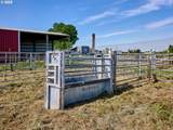 10093 Wiseacre Ln - Photo 40