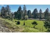 91620 Schaffer Dr - Photo 5