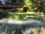 4386 Bramblewood Ct - Photo 4
