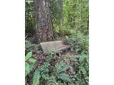 6829 144TH Ave - Photo 39