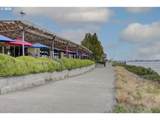 1520 Cutter Ln - Photo 39