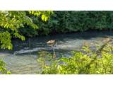 32153 Goddard Ln - Photo 3
