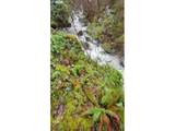 4172 Placer Rd - Photo 4