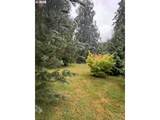 120 Maple Ridge Rd - Photo 45