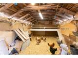 6455 Trout Creek Ridge Rd - Photo 47