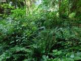 9864 Beach Dr - Photo 22