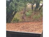 20055 Pihl Rd - Photo 20