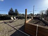 2580 Fir St - Photo 38