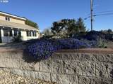 2580 Fir St - Photo 39