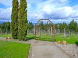 8580 Hillview Dr - Photo 44