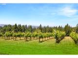 8580 Hillview Dr - Photo 45