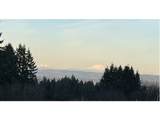 32784 Laurelview Rd - Photo 8