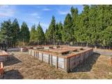 2840 Phillips Rd - Photo 10