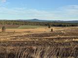  Quail Rd - Photo 9