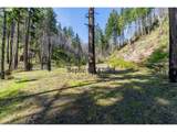 47983 Mckenzie Hwy - Photo 3