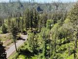 49513 Mckenzie Hwy - Photo 13