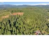 41294 Keel Mountain North Dr - Photo 45