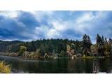 1081 Umpqua College Rd - Photo 45