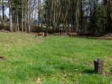 30744 10TH St - Photo 26