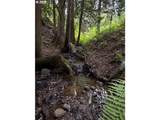 232 Upper Lakeview Rd - Photo 43