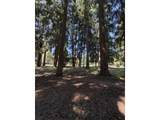 5700 82ND Ave - Photo 42
