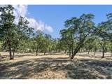 87121 Kellmore St - Photo 33