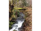 17719 Manning Cir - Photo 4