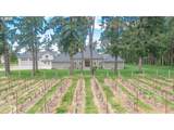 34103 Adler Ln - Photo 3