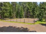 2216 Highway 141 - Photo 11