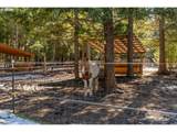 2216 Highway 141 - Photo 39