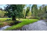 17150 Ten Eyck Rd - Photo 39