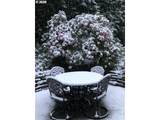 14221 Dolph Ct - Photo 38