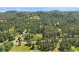 3301 Colonial Rd - Photo 43