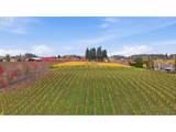 21358 Oak Ln - Photo 8