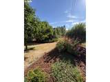31467 Gowdyville Rd - Photo 6