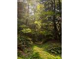 70165 Barlow Trail Rd - Photo 43