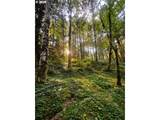 70165 Barlow Trail Rd - Photo 44
