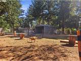 93127 Marcola Rd - Photo 10