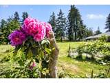 12550 242ND Ave - Photo 14