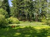 30125 Scotch Church Rd - Photo 34