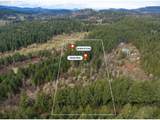 40440 Big Fall Creek Rd - Photo 2