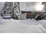 31244 Collins Lake Rd - Photo 3