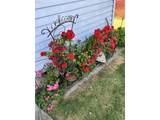 2478 Marion St - Photo 37