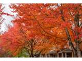 1179 Leander St - Photo 8