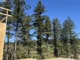 13233 Carson Rd - Photo 20