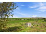 30335 Joy Ln - Photo 29