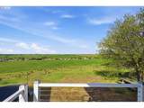 30335 Joy Ln - Photo 31