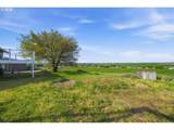 30335 Joy Ln - Photo 33