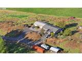 30335 Joy Ln - Photo 45